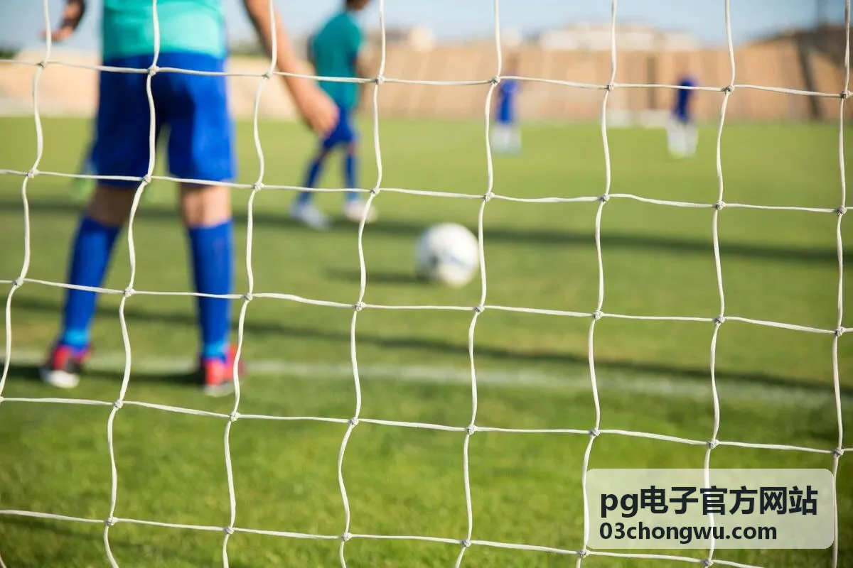 pg电子官方网站数码配件精选分类，充电器数据线拓展坞